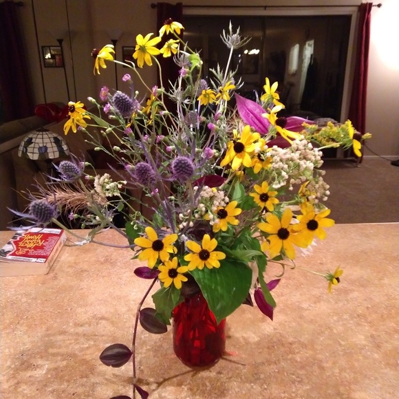 Meet your Posher, Nina - Picture 1 of 1